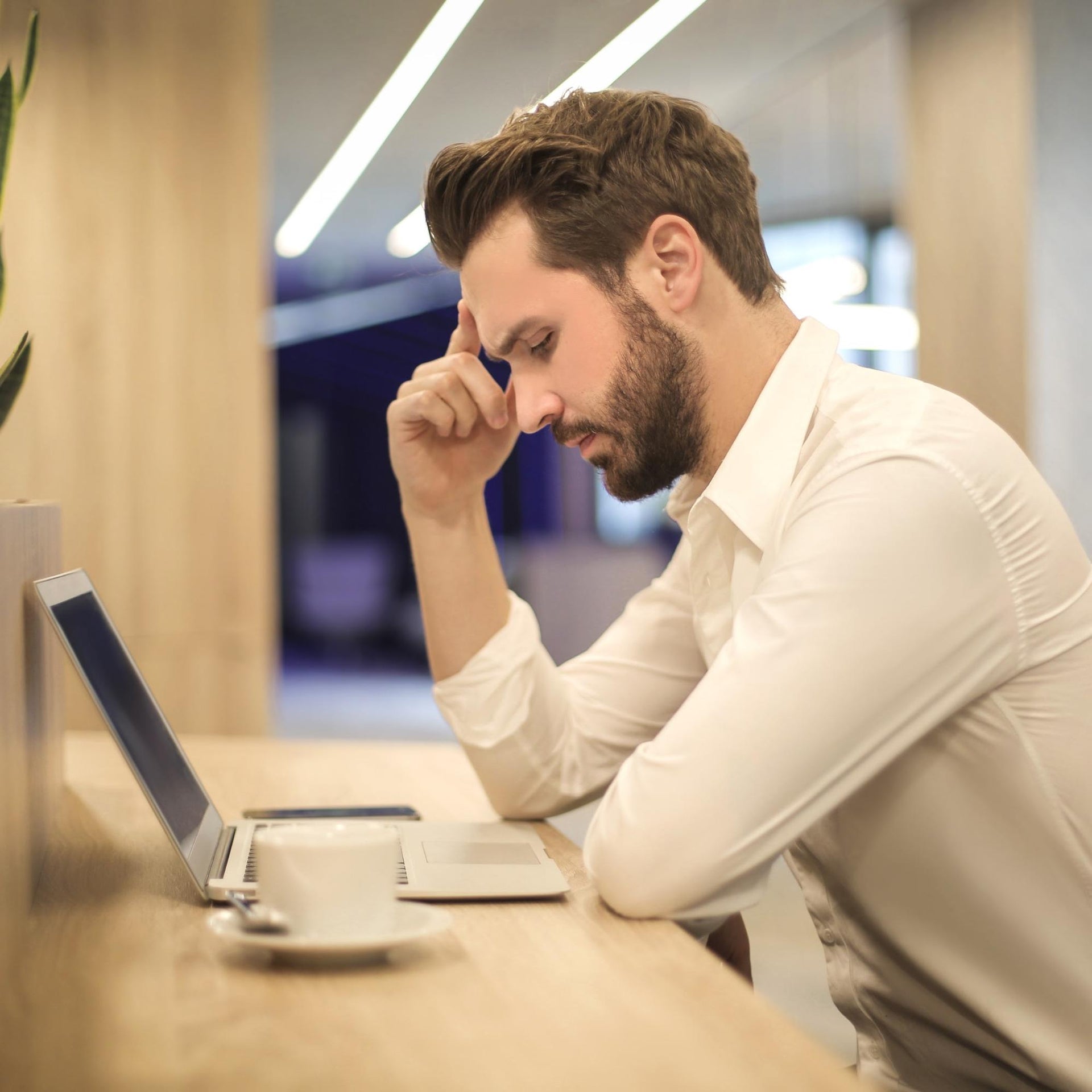 Stay Energized at Work with Sparkling Maple Water